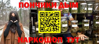 МДПВ Бийск
