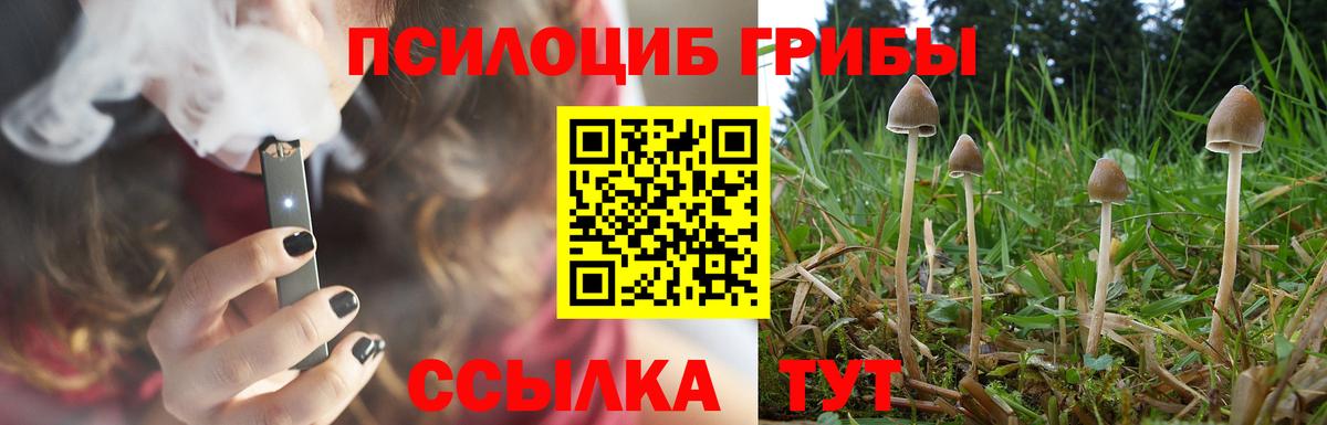 Псилоцибиновые грибы MAGIC MUSHROOMS  Вход с VPN  купить   Дедовск 